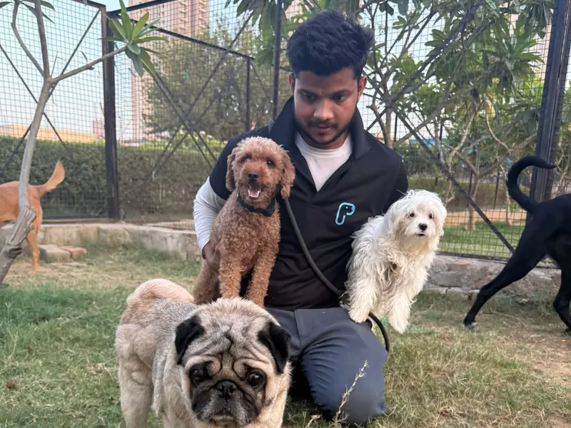 Pooch Pet Resort Gurgaon | Dog Boarding | Day Care | Dog Park, photo 2