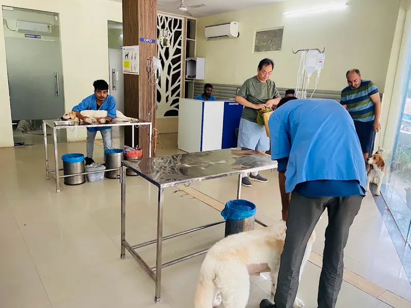Asteria veterinary centre, photo 3
