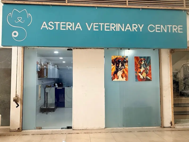 Asteria veterinary centre, photo 4