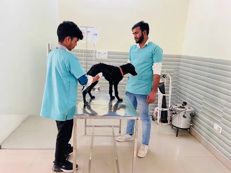 Asteria veterinary centre, photo 5