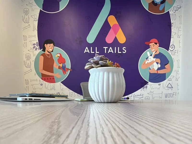 All Tails, photo 4