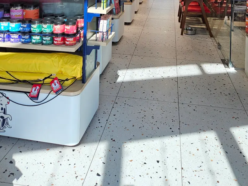 Zigly - Pet Hospital, Pet Grooming & Pet Products | AIPL, Sector-66, Gurgaon, photo 3