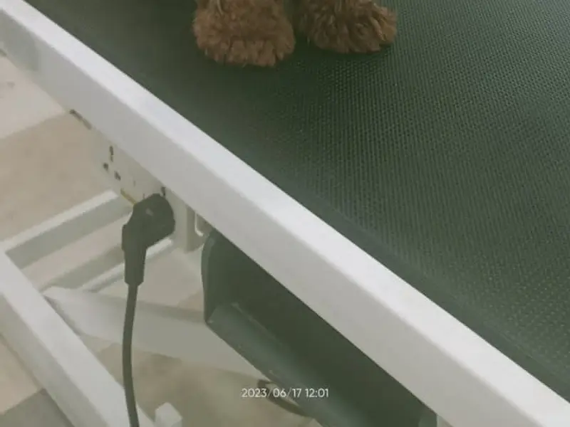 Zigly - Pet Hospital, Pet Grooming & Pet Products | AIPL, Sector-66, Gurgaon, photo 4