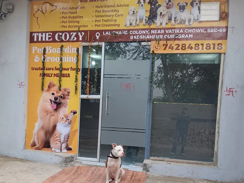 The cozy pet boarding, photo 2