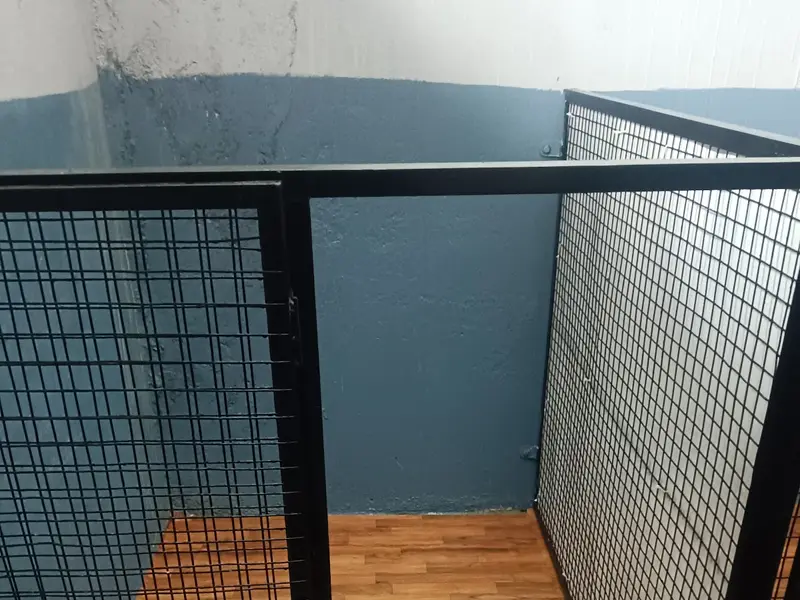 The cozy pet boarding, photo 4