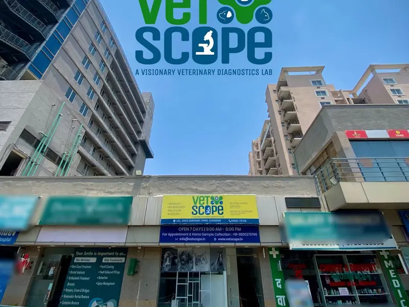 VetScope Diagnostics, photo 2