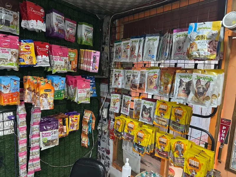 Pets Life Care Clinic