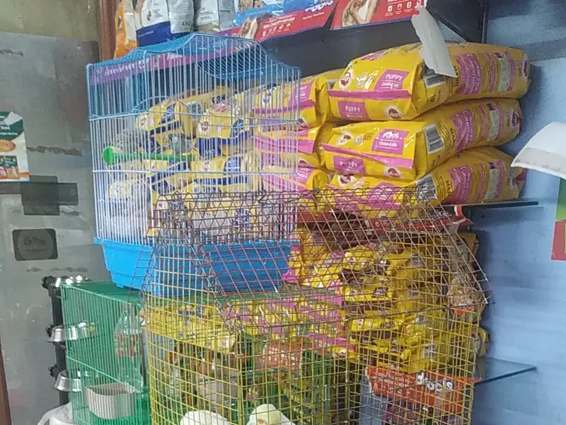 Tulsi Pet Shop, photo 2