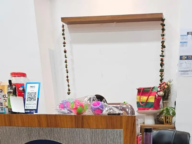 Petriever - Pet Clinic, Pet Grooming & Spa, Pet Store, photo 4