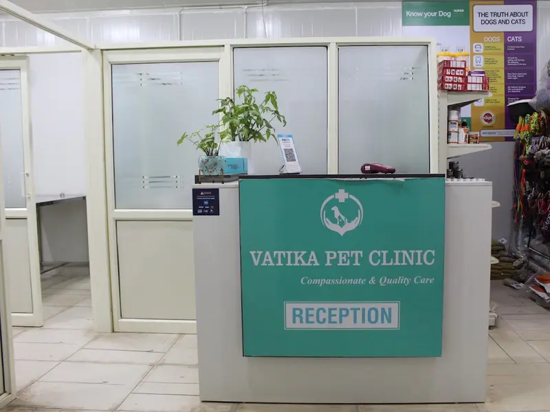Vatika Pet Clinic & Surgery Centre, photo 4