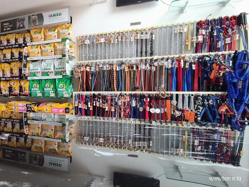 Sri Raghavendra Vet and Pet Mart @ Neradmet X Road, photo 3