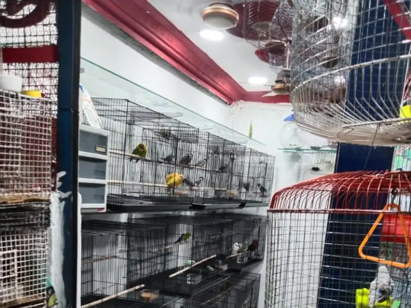 Nayeb Birds & Fishes Pets Merchant, photo 4