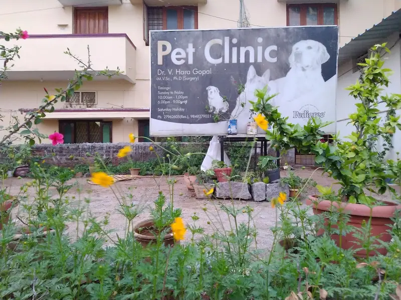 Dr. V. Hara Gopal pet clinic, photo 2