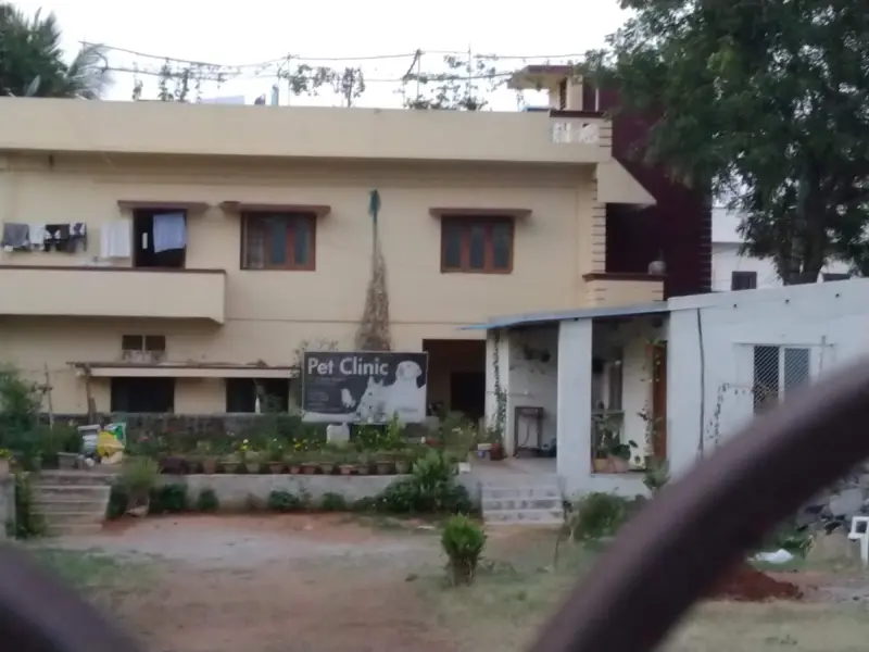 Dr. V. Hara Gopal pet clinic, photo 4