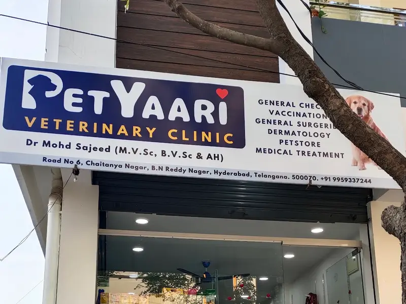 Petyaari Pet Clinic and Diagnostics, photo 2