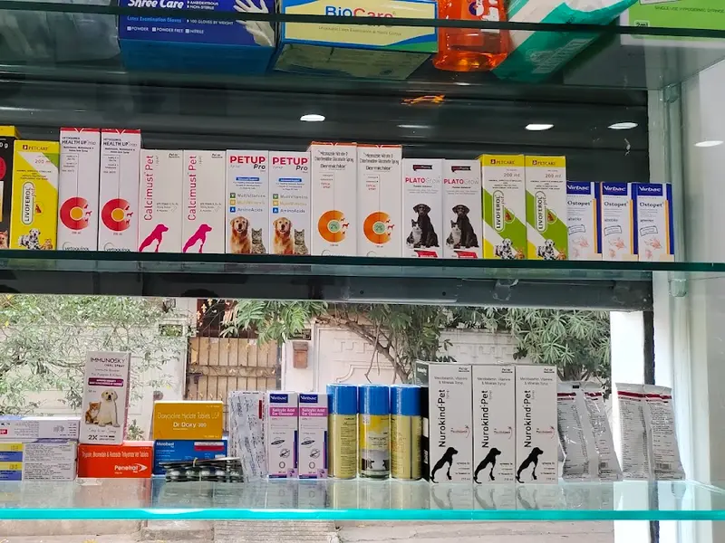 Petyaari Pet Clinic and Diagnostics, photo 4
