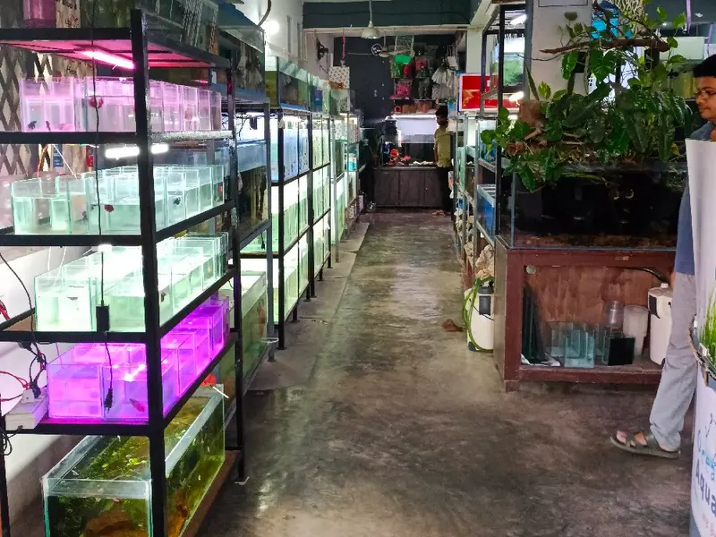 Ocean Blue Aquariums, photo 3
