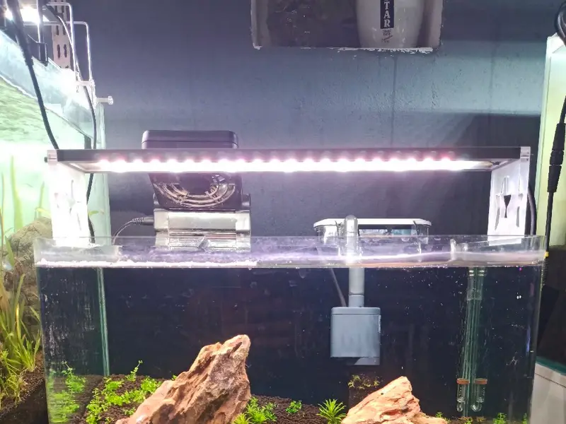 Ocean Blue Aquariums, photo 5