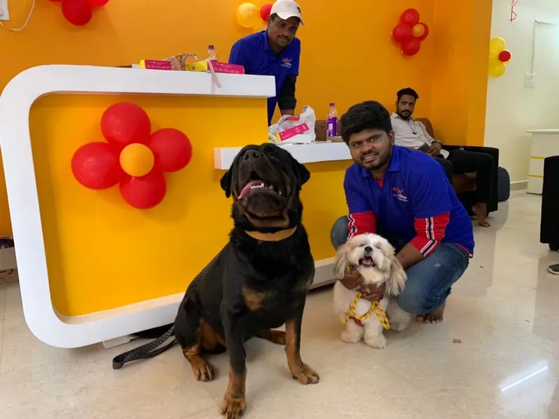 Scoopy Scrub & Pet Bites Bachupally - Pet Grooming Salon, Pet Food, Pet Shop, Pet Clinic, Pet Boarding, photo 3