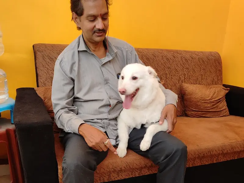 Scoopy Scrub & Pet Bites Bachupally - Pet Grooming Salon, Pet Food, Pet Shop, Pet Clinic, Pet Boarding, photo 5