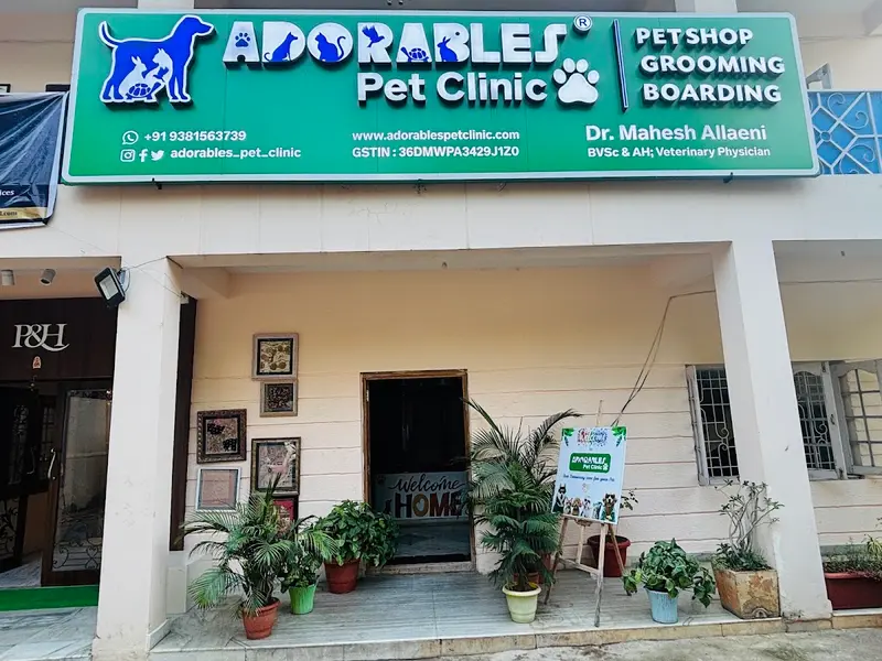 ADORABLES Pet Clinic, photo 4