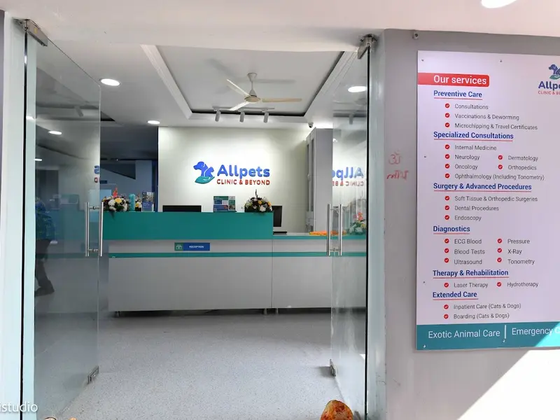 Allpets - Clinic & Beyond (24/7) (formerly Allvet Pet Clinic), photo 2