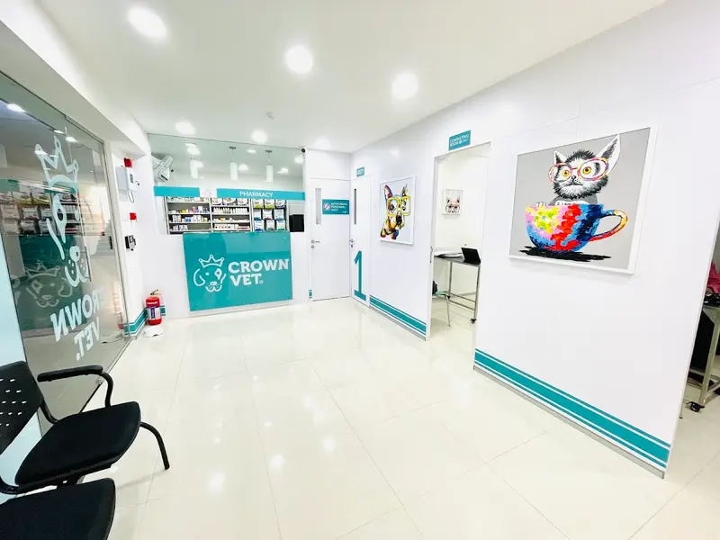 Crown Vet Banjara Hills, photo 2