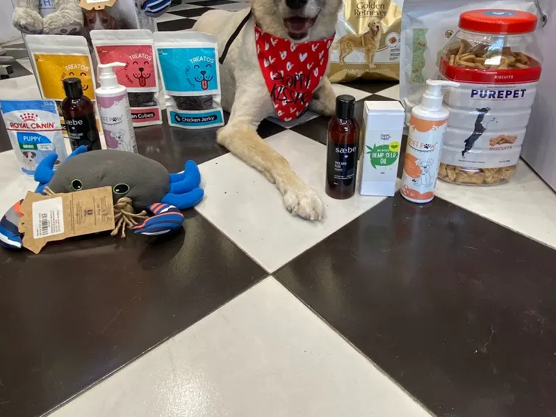 GoPetting - Your Pet Expert, photo 5