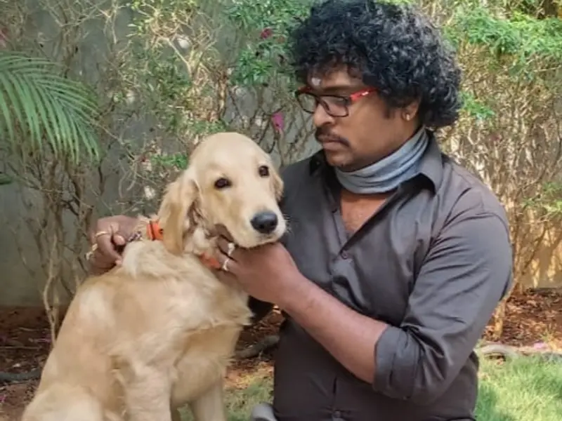 Murali Dogs Trainer, photo 4
