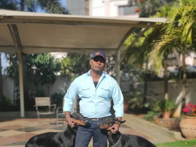 Murali Dogs Trainer, photo 5