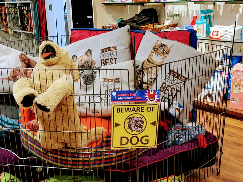 Pet Essentials, photo 2