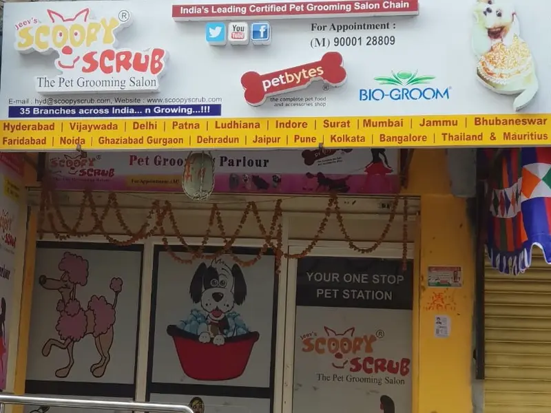 Scoopy Scrub & Pet Bytes - Pet Grooming Salon, photo 2