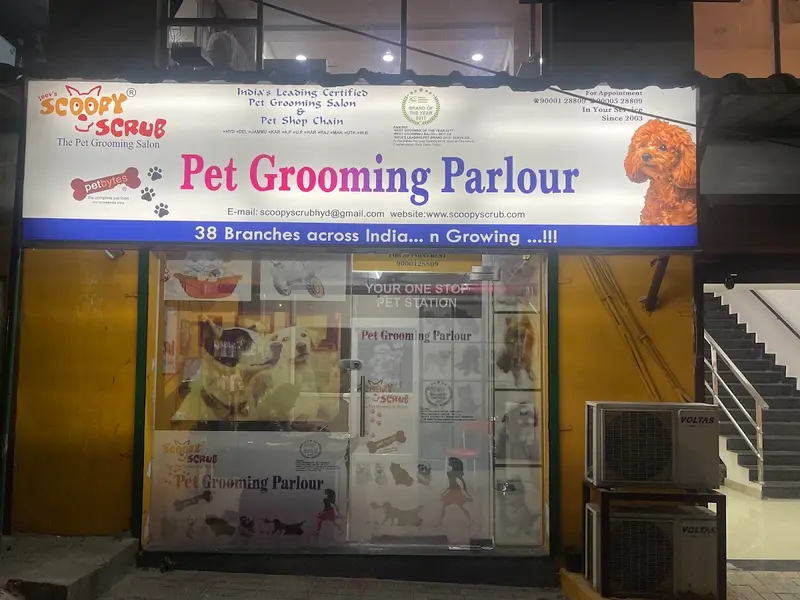 Scoopy Scrub & Pet Bytes - Pet Grooming Salon, photo 4