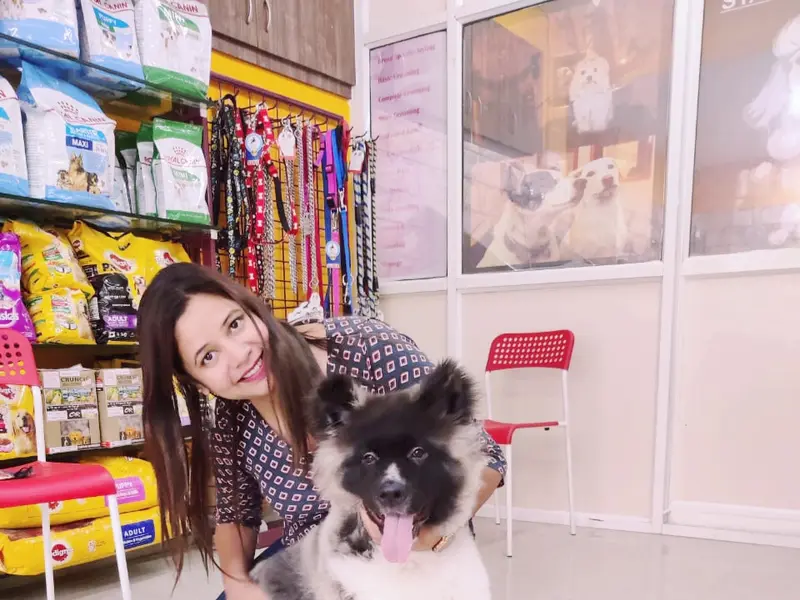 Scoopy Scrub & Pet Bytes - Pet Grooming Salon, photo 5