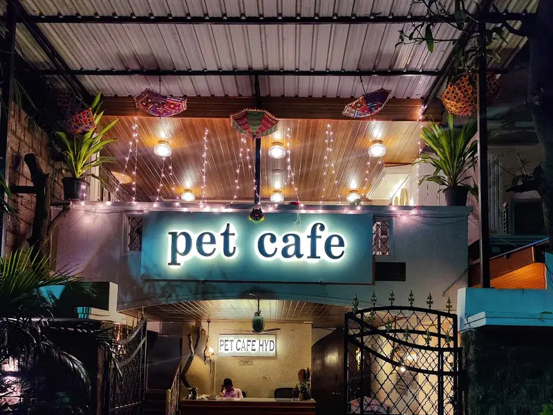 The Pet Cafe Hyderabad, photo 4
