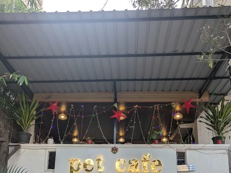 The Pet Cafe Hyderabad, photo 5