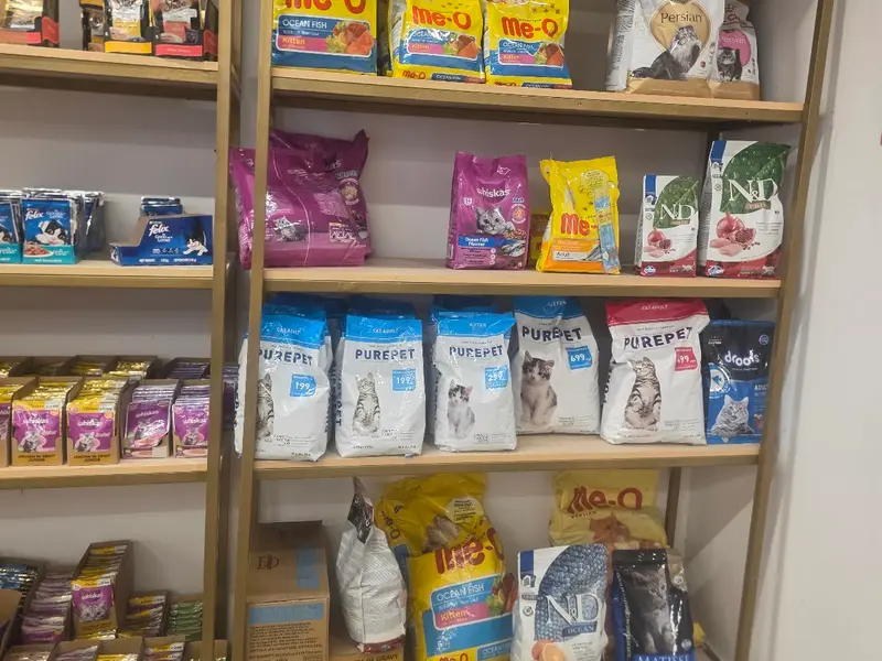 Vetic Pet Clinic Banjara Hills, photo 2