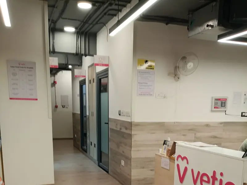 Vetic Pet Clinic Banjara Hills, photo 5