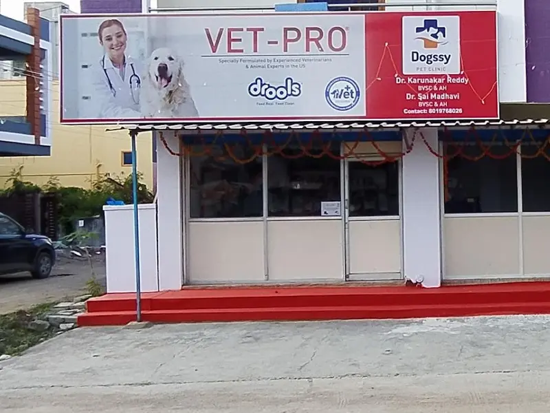 Dogssy Pet Clinic, photo 5