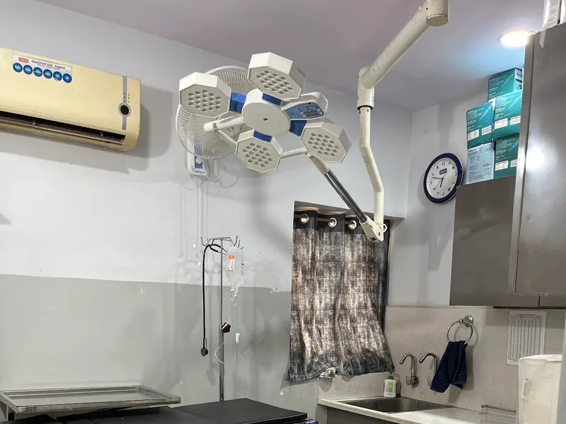 Pet Park Clinic, photo 2