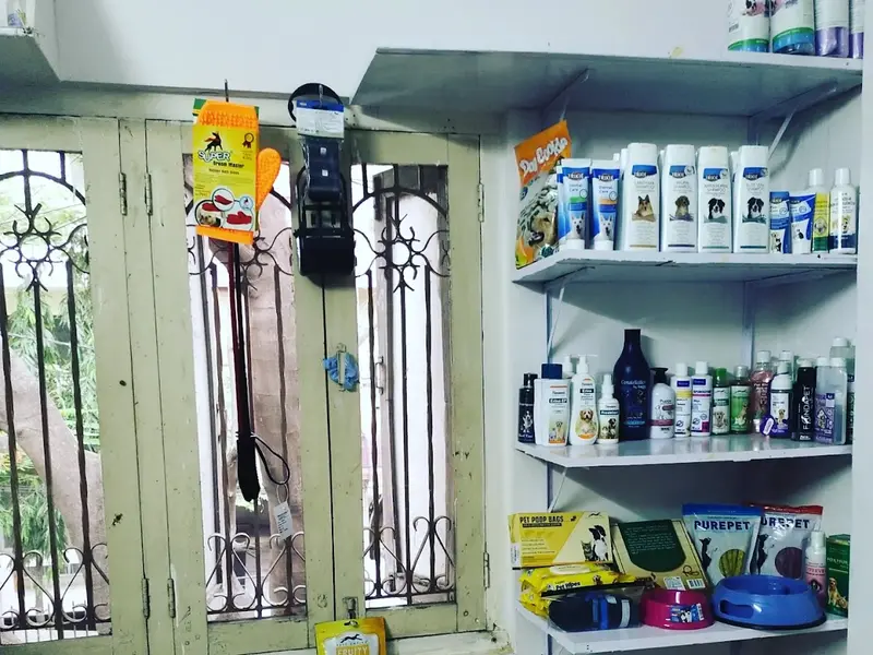 Zeleo Pet Clinic, photo 4