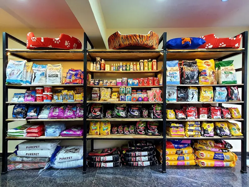 Posh Paws Pet Grooming Spa, photo 3