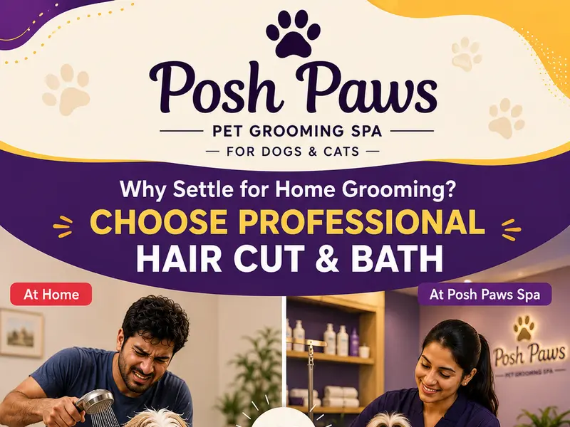 Posh Paws Pet Grooming Spa, photo 5