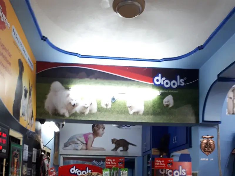 B.G. Pet Clinic, photo 5