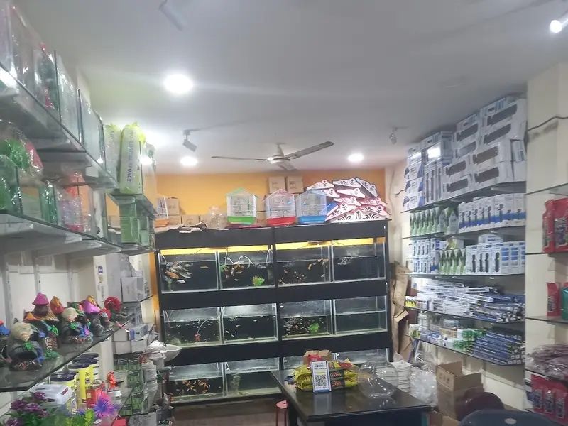 The Ocean Life & Pet World, photo 2