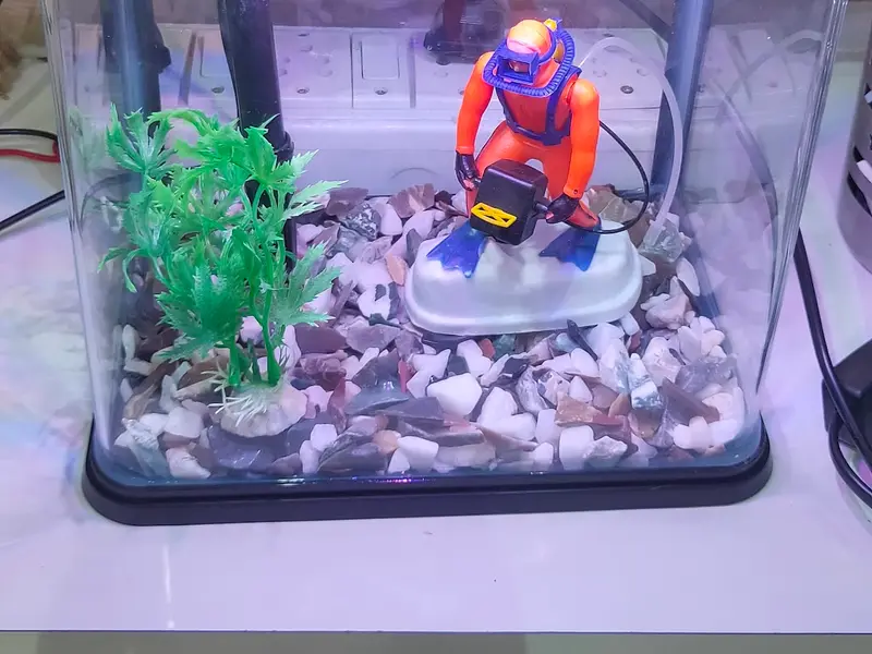 The Ocean Life & Pet World, photo 3