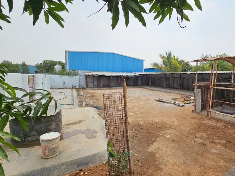 Vinayaka Pets, photo 5