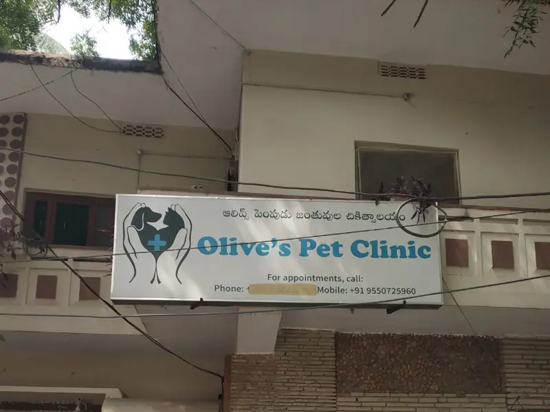 Olive's Pet Clinic, photo 4