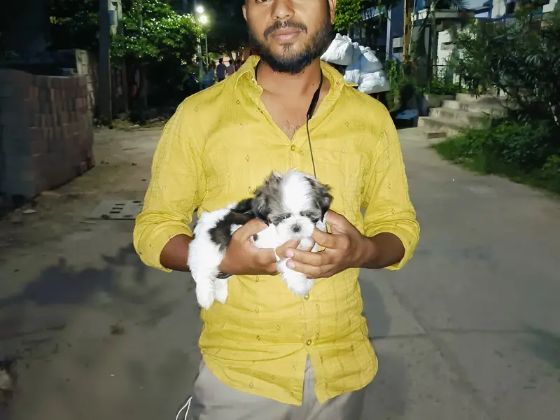 PET COZI, photo 3