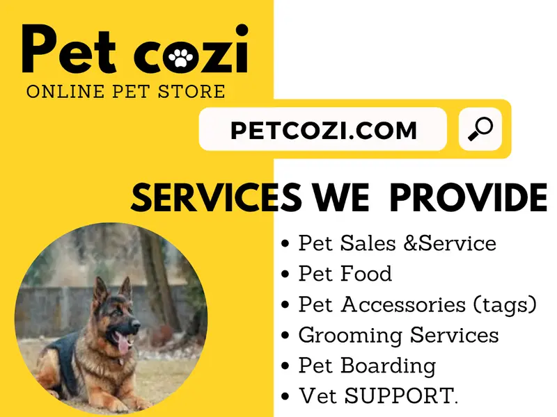 PET COZI, photo 4